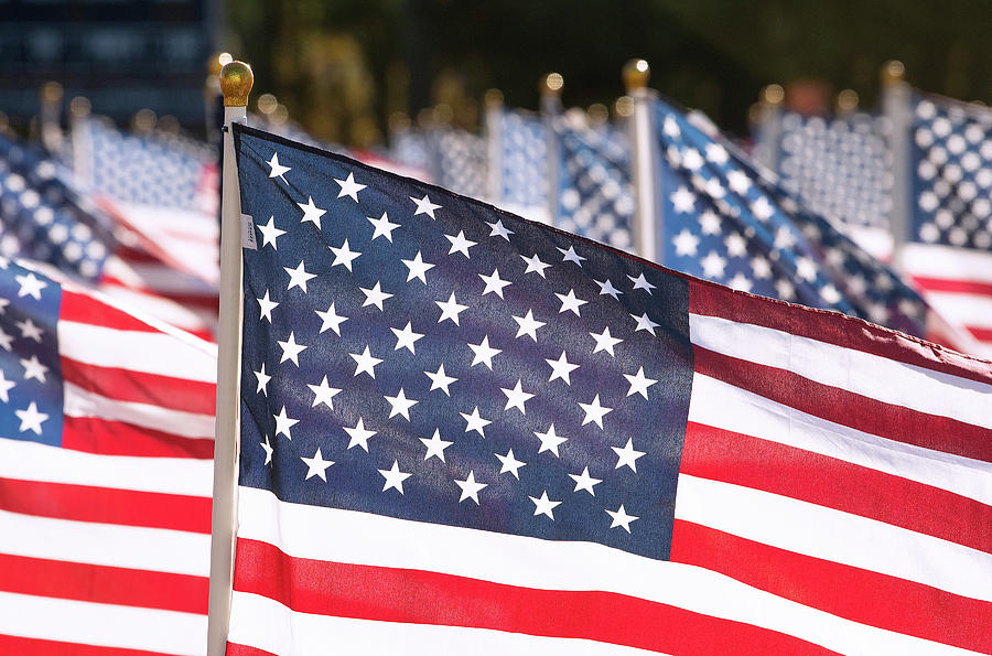 American Flags Photograph by Eric Abernethy