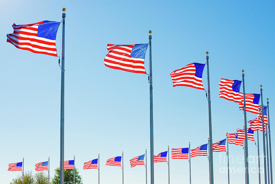 American Flags National Mall Washington Monument Washington DC Photograph by Gary Whitton