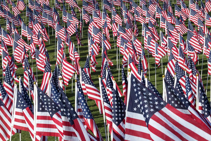 American Flags Photograph by Patty Colabuono