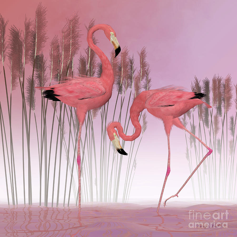 American Flamingos Digital Art by Corey Ford