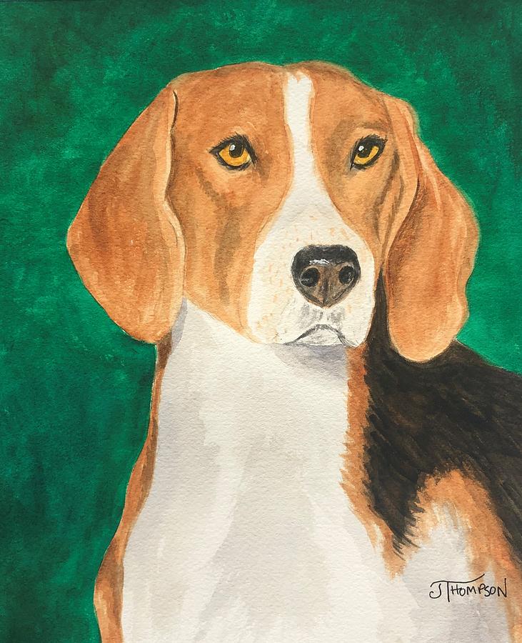 American Foxhound Painting by Judy Thompson American Foxhound Painting by Judy Thompson