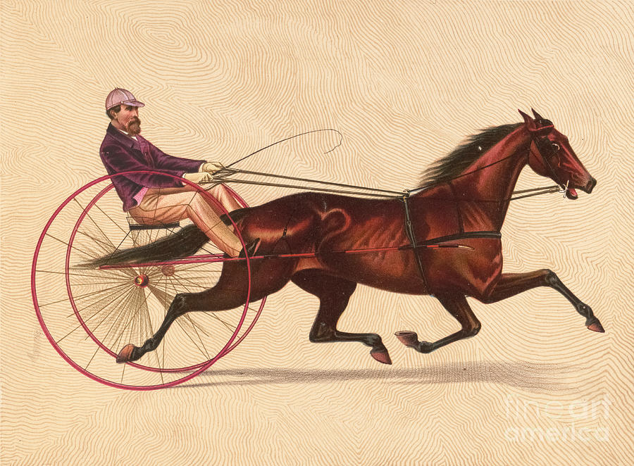 American Girl, Trotting Mare M2 Drawing