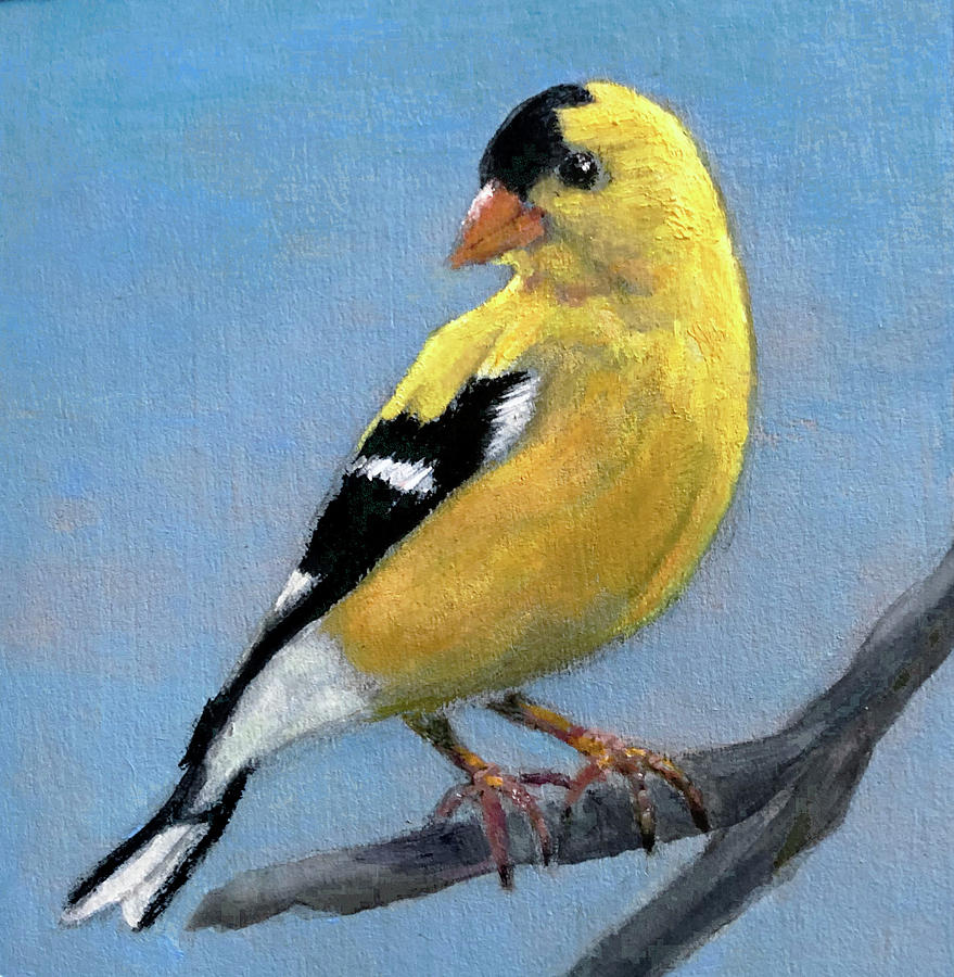 American Goldfinch Painting by John Morris