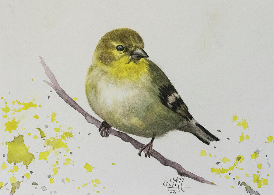 American Goldfinch Painting by Linda Shannon Morgan