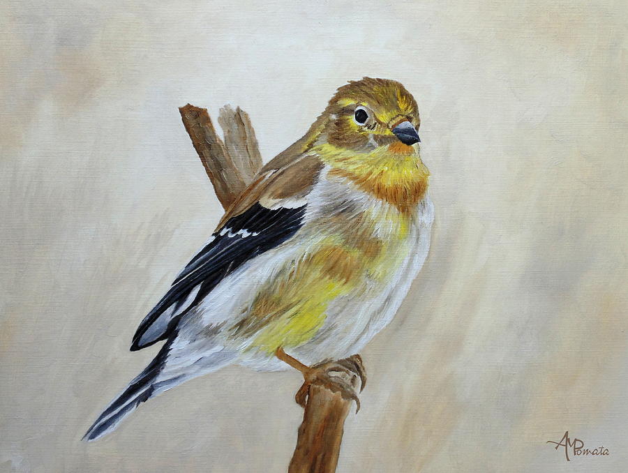American Goldfinch Portrait Painting by Angeles M Pomata