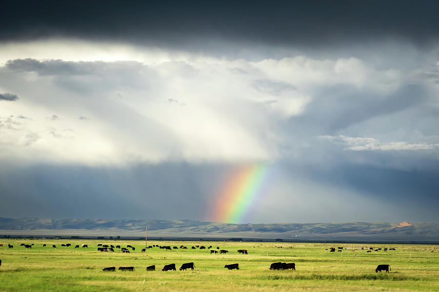 American midwest rainbow Photograph by Serge Skiba