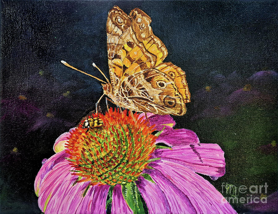 American Painted Lady on coneflower Painting by Nicole Angell