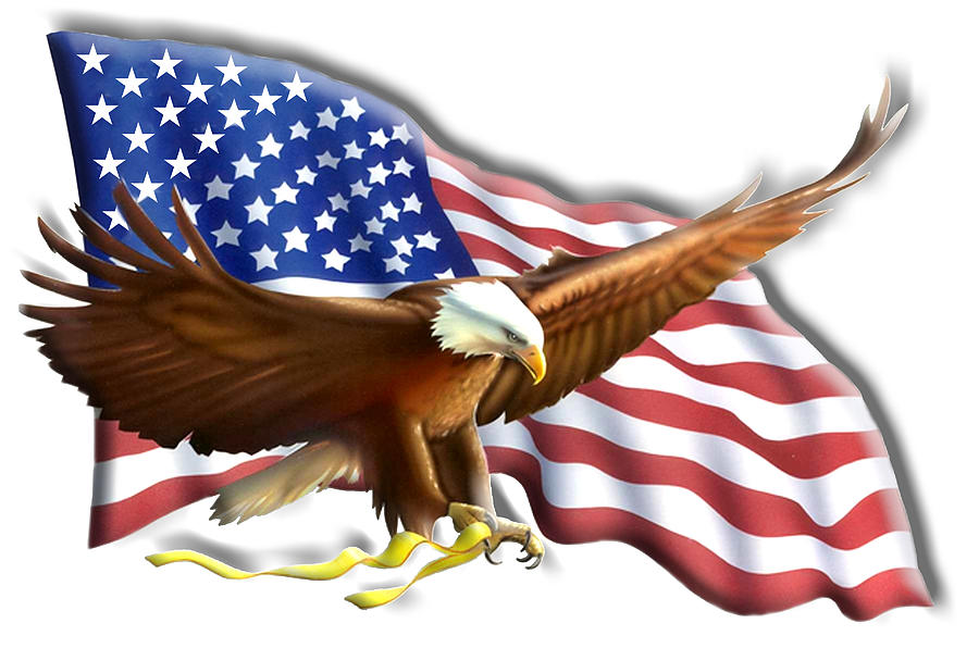 AMERICAN, PATRIOT, independence, Eagle, War, Flag, America, Bald Eagle ...