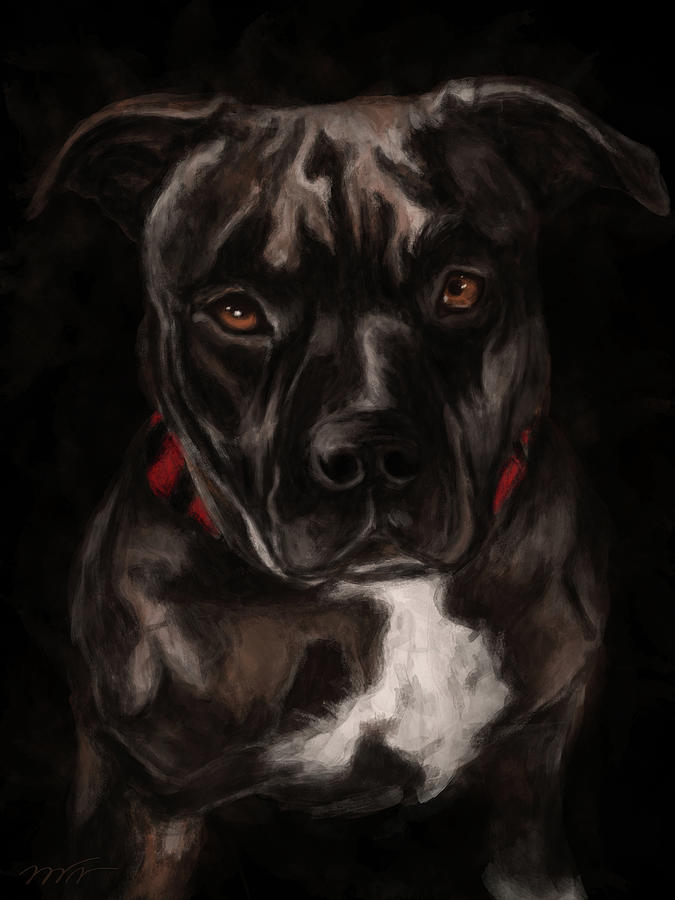 American pitbull painting, Pit bull Painting by Nadia CHEVREL