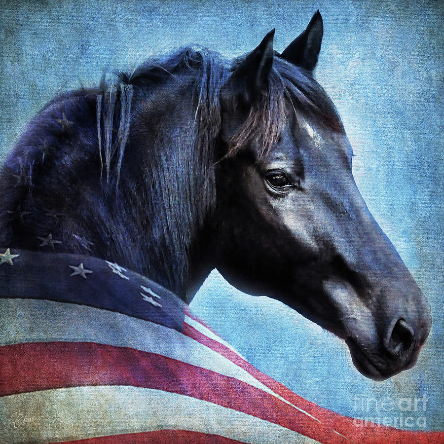 American Pride Photograph by Kimberly Chason
