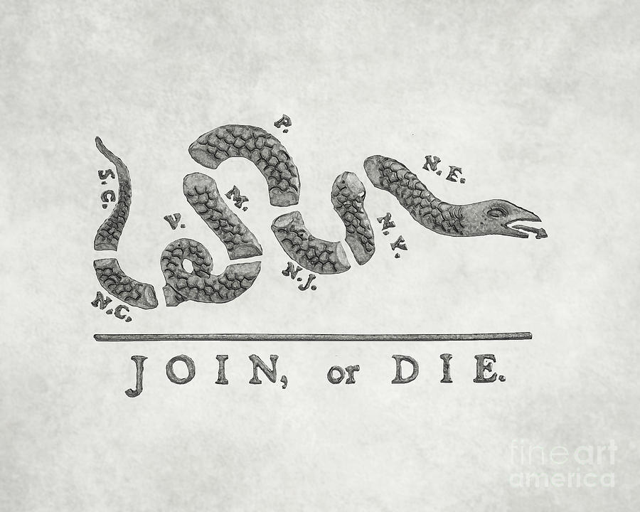 American Revolution Rattlesnake Flag Digital Art by Randy Steele