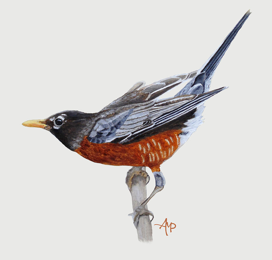 American Robin I Painting by Angeles M Pomata