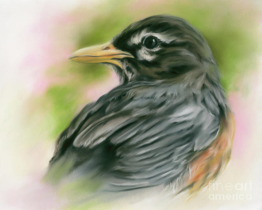 American Robin Songbird Portrait Painting by MM Anderson