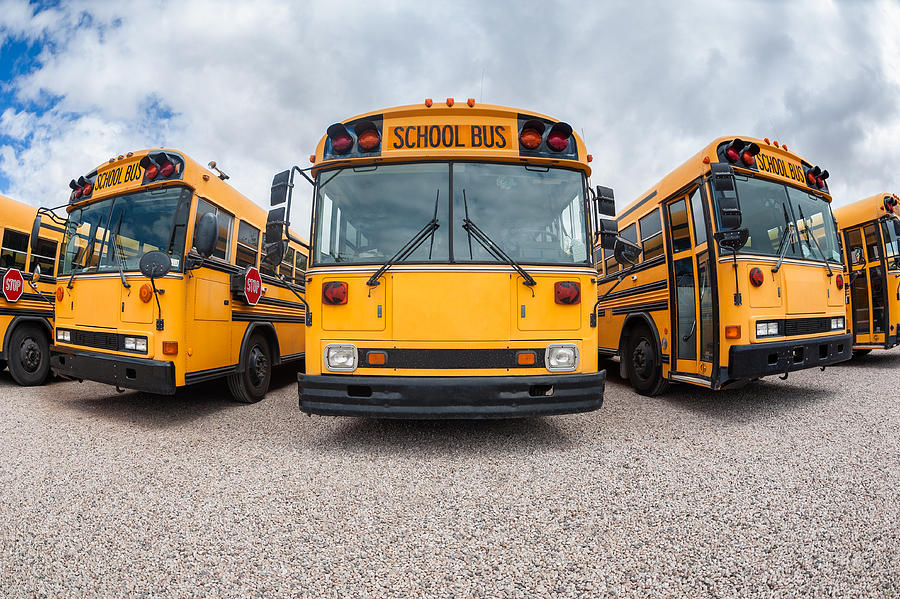 American School Buses Photograph by © Allard Schager