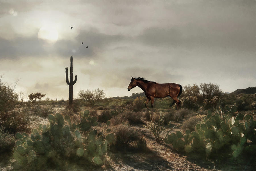 Phoenix Photograph - American Southwest 1 by Lori Deiter