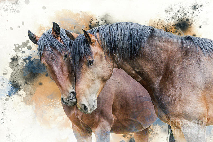 American Stallions Photograph by Lisa Manifold