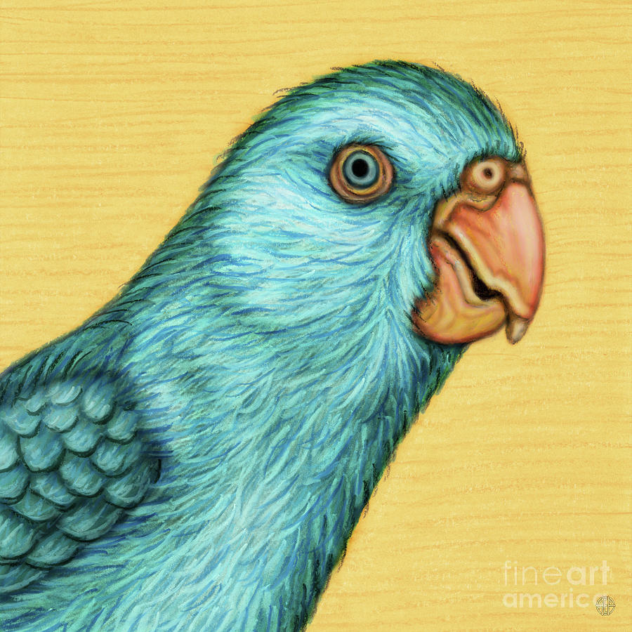 American Turquoise Pacific Parrotlet Painting by Amy E Fraser
