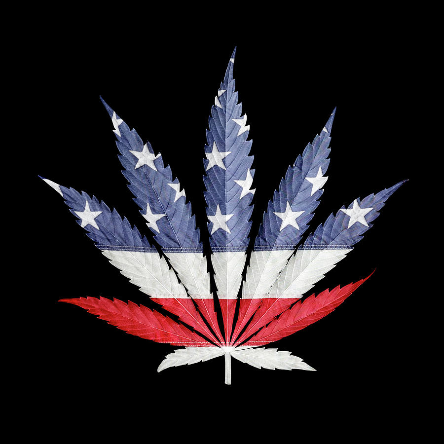 Flag Photograph - American Weed Black Background by Luke Moore
