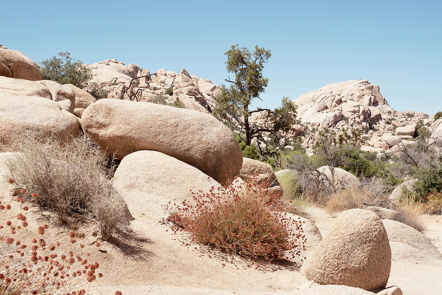 American West - Boulders Rock Photograph by Philippe HUGONNARD