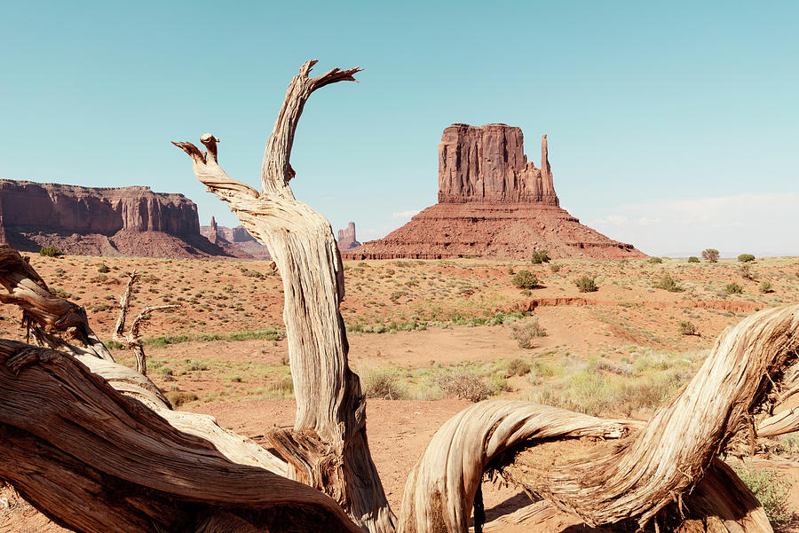 American West - Monument Valley V Photograph by Philippe HUGONNARD