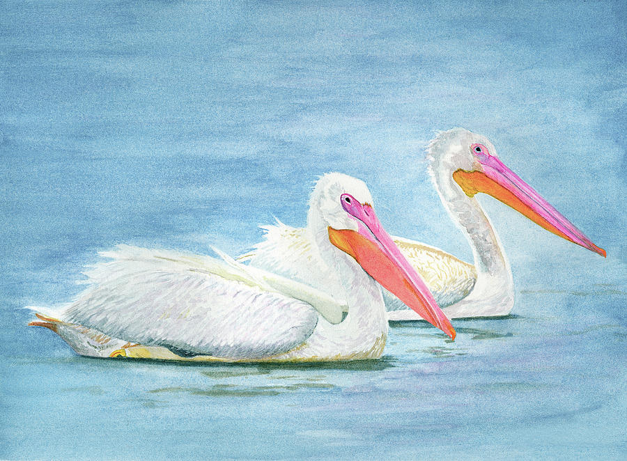American White Pelicans Painting by Deborah League