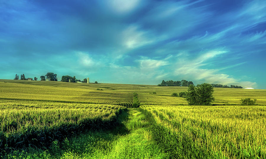 America's Breadbasket Photograph by Mountain Dreams | Fine Art America