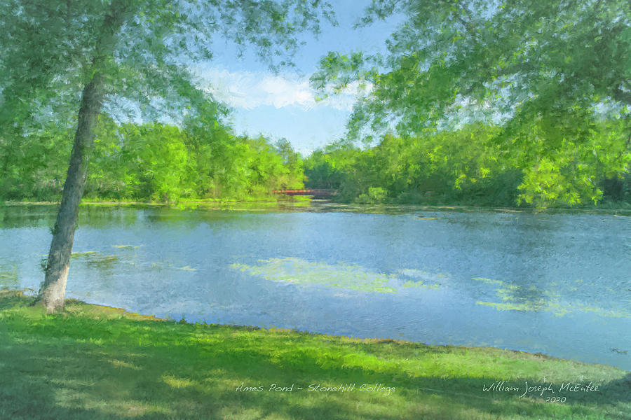 Ames Pond at Stonehill College Painting by Bill McEntee