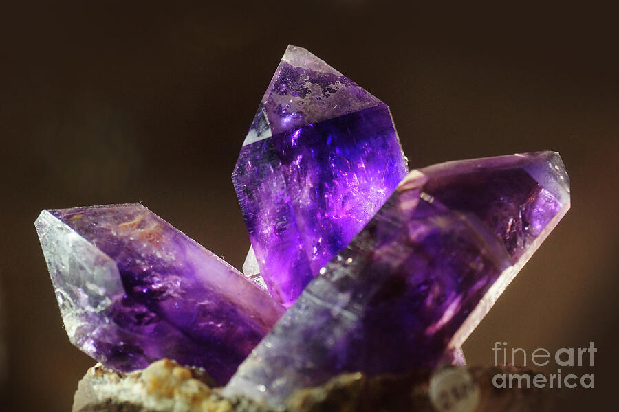 Amethyst Crystal Photograph by Rudi Prott