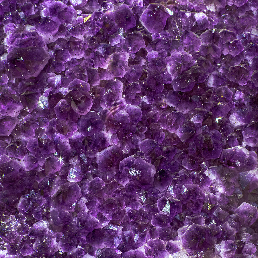 Amethyst Crystal Sea Photograph by Bonnie Follett