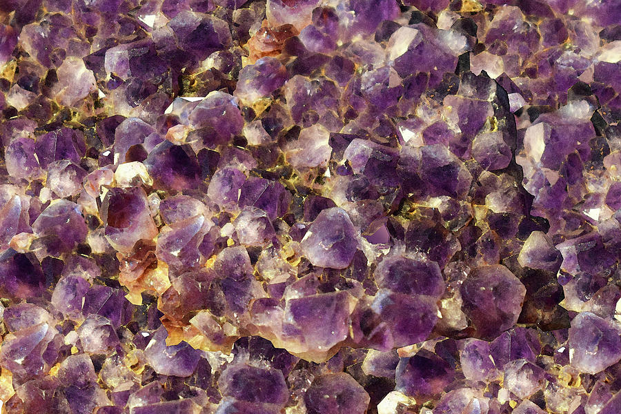 Amethyst Druze Photograph by Donald Presnell