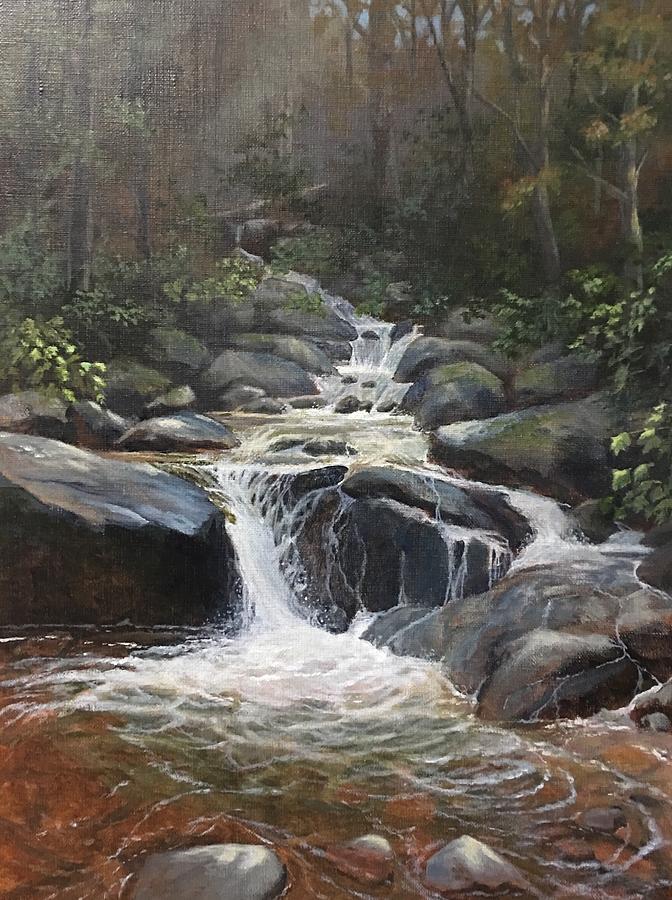 Amicalola Creek Painting by Terry Smith Studio | Fine Art America