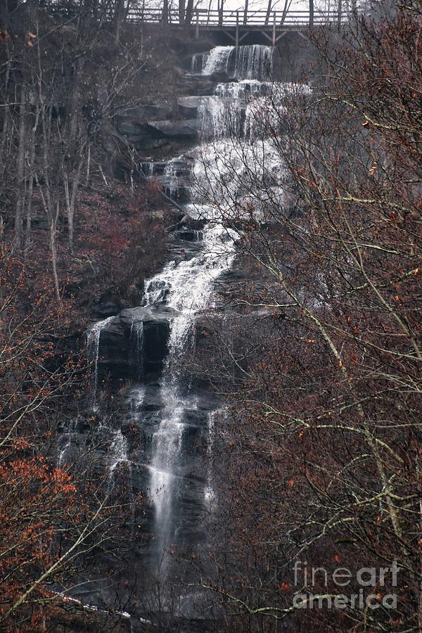 Amicalola Falls 2 Photograph by Andrea Anderegg
