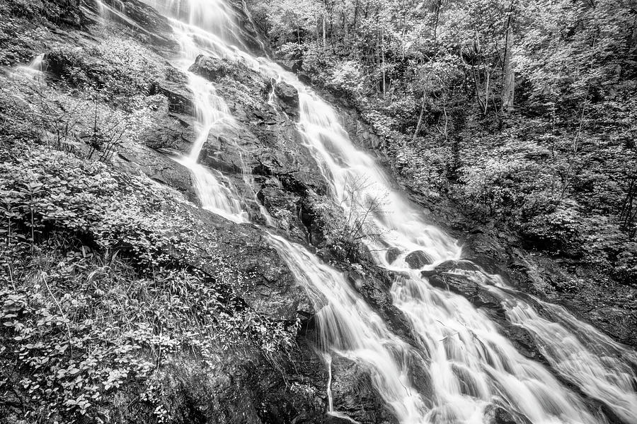 Amicalola Falls Cascades Black and White Photograph by Debra and Dave Vanderlaan