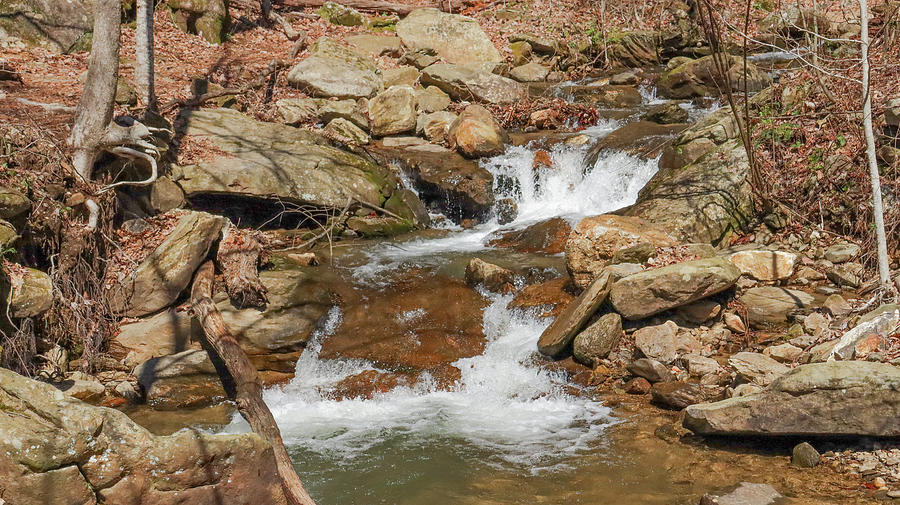 Amicalola Falls Creek Passages Photograph by Ed Williams