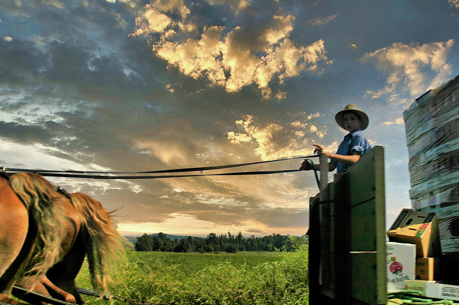 Amish boy heading to Mkt Photograph by Randall Branham