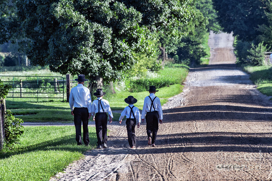 Amish Boys walk to Church Photograph by David Arment - Fine Art America