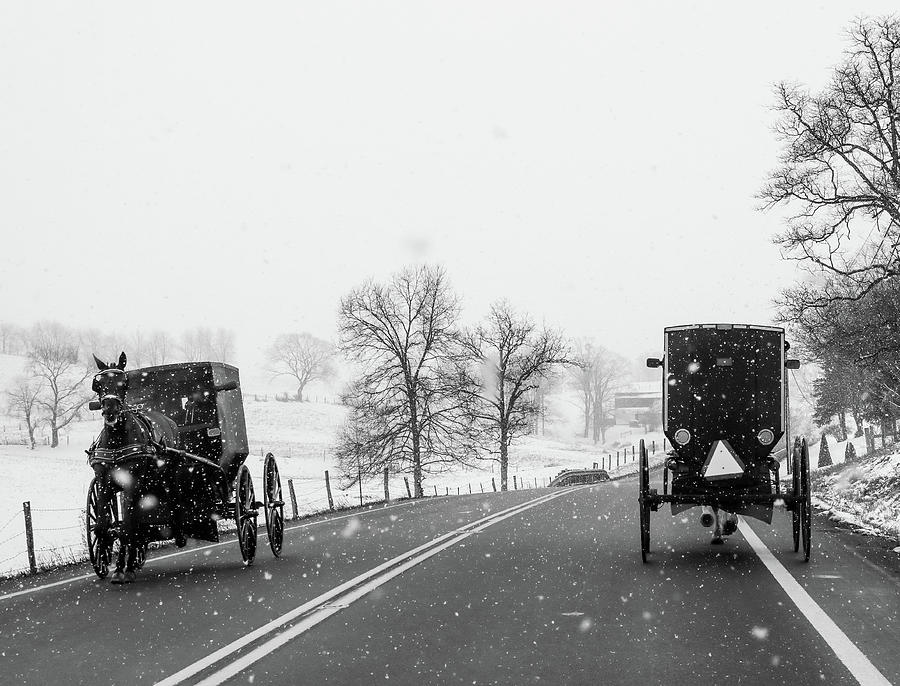 Amish Buggies In Winter Photograph by Dan Sproul