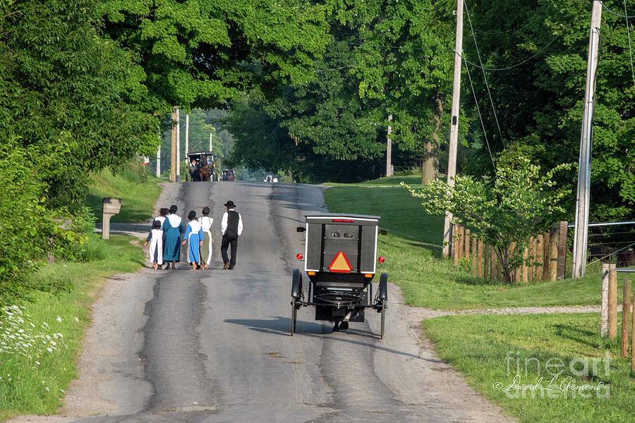 Amish buggy and Amish People Photograph by David Arment