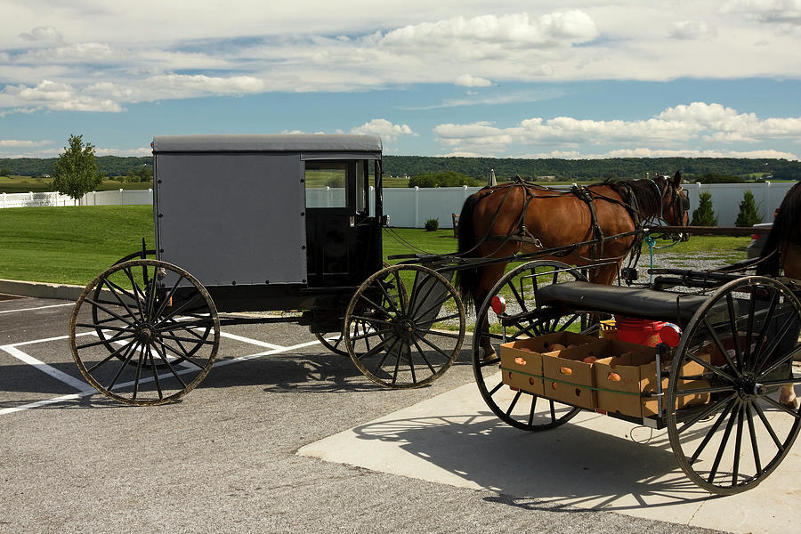 Amish Buggy and Cart II Photograph by Sally Weigand