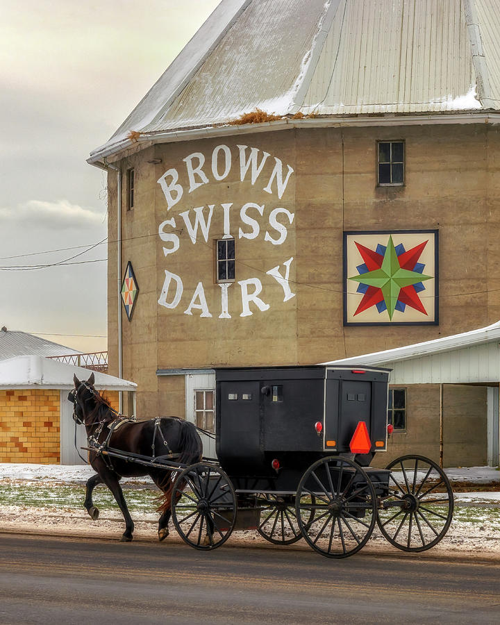 Amish Buggy at the Brown Swiss Dairy Photograph by Susan Rissi Tregoning
