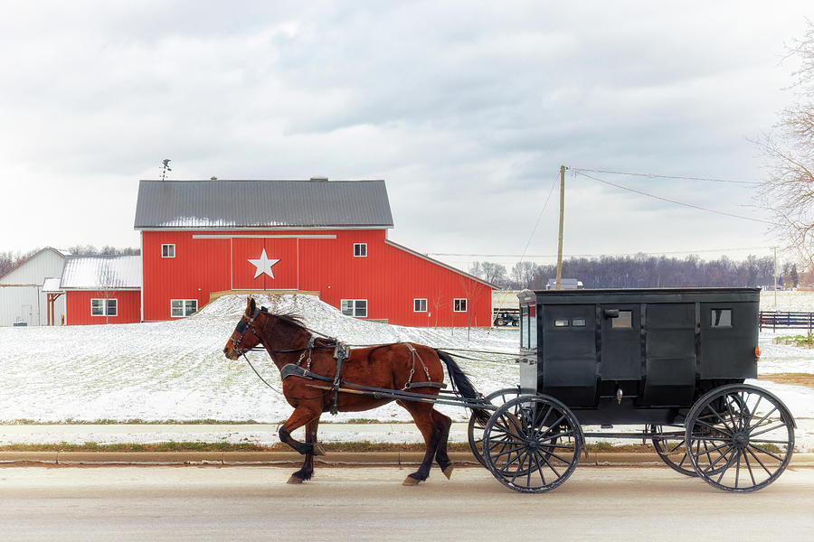 Amish Buggy at the Star Barn Photograph by Susan Rissi Tregoning