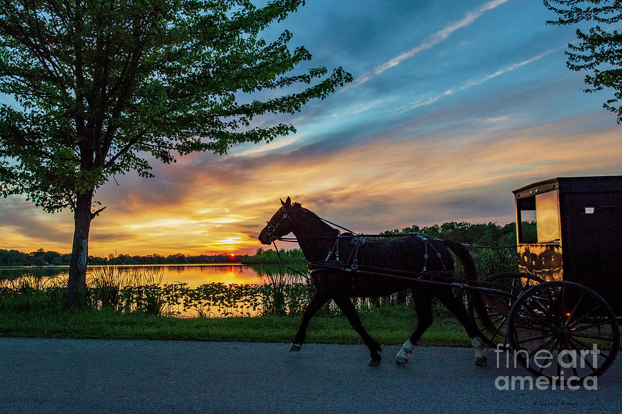 Amish Buggy at Twilight Photograph by David Arment