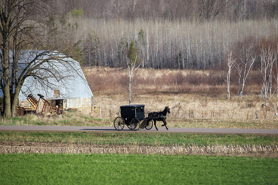 Amish Buggy Photograph by Brook Burling