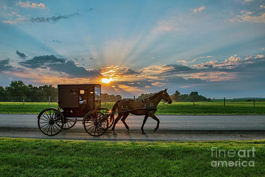 Amish Buggy Early Morning with Sunbeams Photograph by David Arment