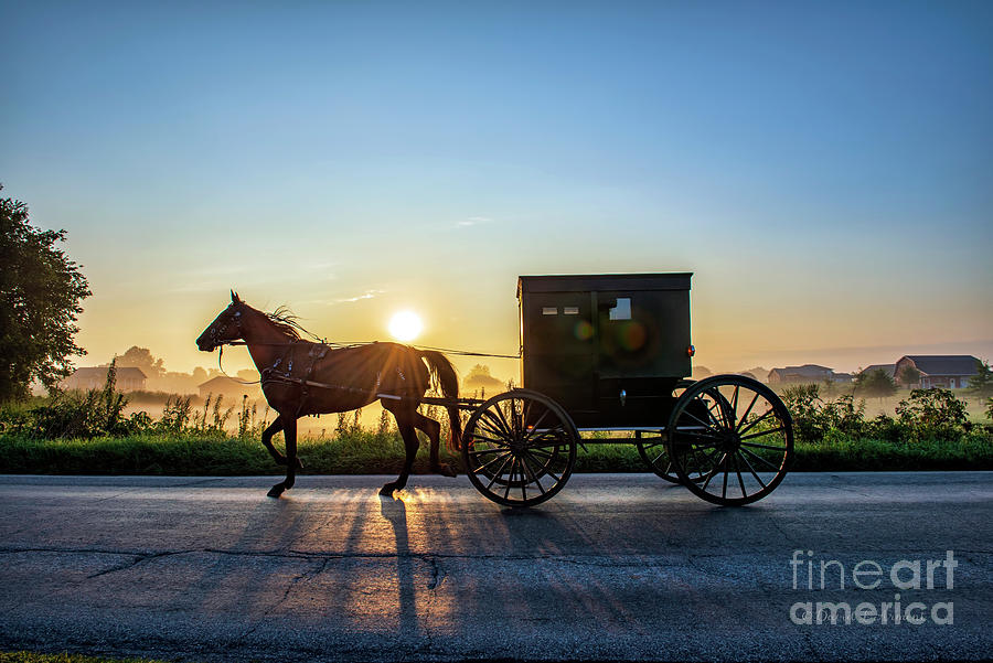 Amish Buggy in Near Silhouette in Early Morning Photograph by David Arment