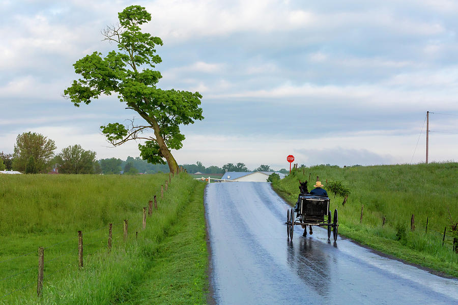 Amish Buggy in the Rain Photograph by Deborah Penland