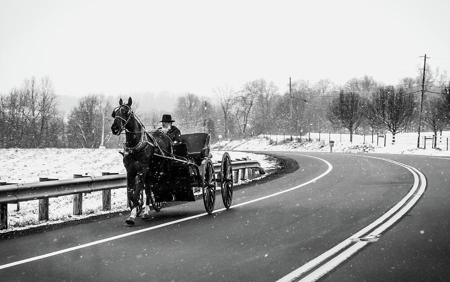 Winter Photograph - Amish Buggy In Winter by Dan Sproul