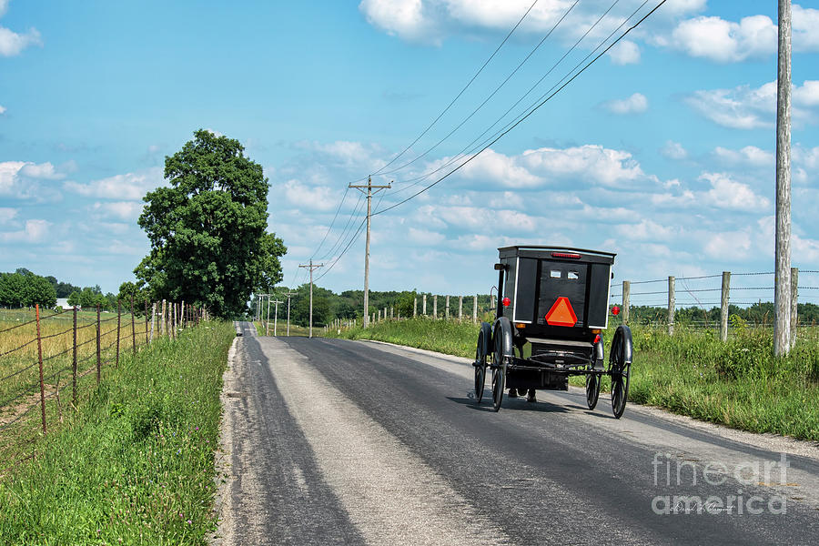 Amish Buggy on Rural Road in Summer Photograph by David Arment