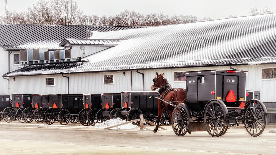 Amish Buggy Parking Photograph by Susan Rissi Tregoning