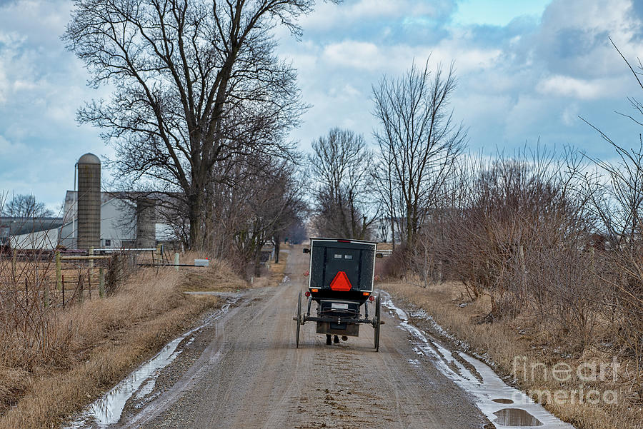 Amish Buggy Rural Indiana Road Photograph by David Arment